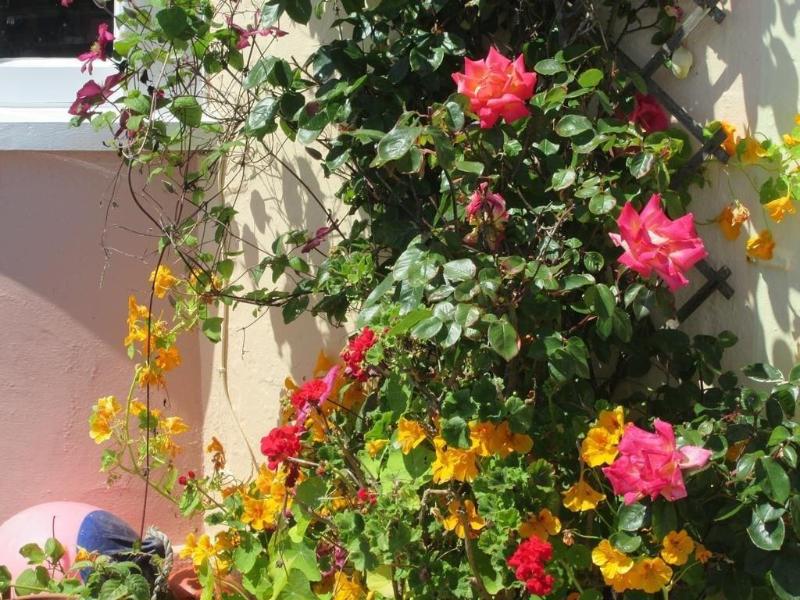 Lyndale Guest House image