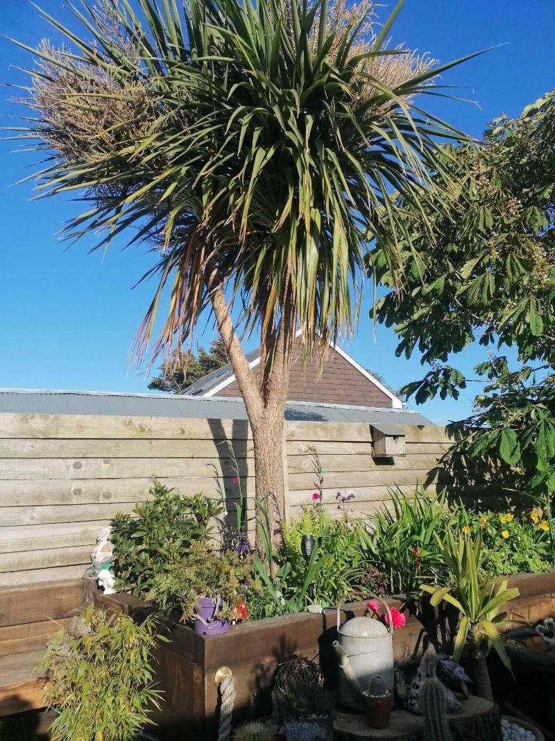 Pensalda Guest House image