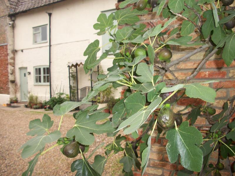 The Walnuts Country House image