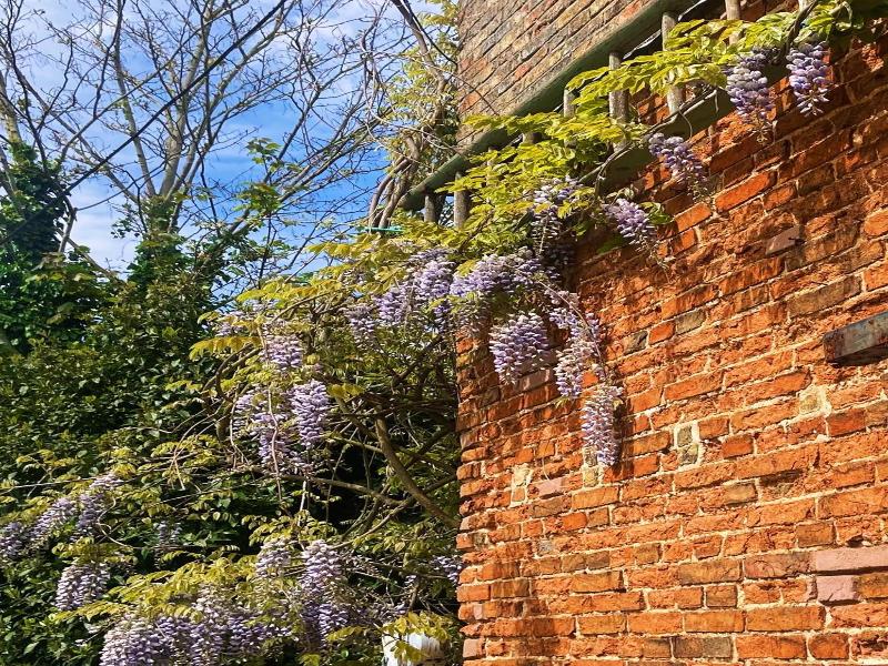The Walnuts Country House image
