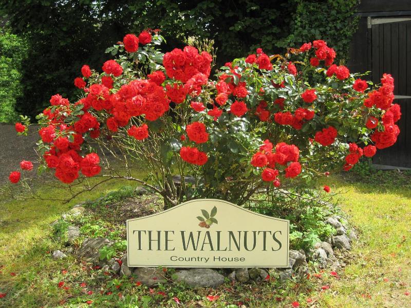 The Walnuts Country House image