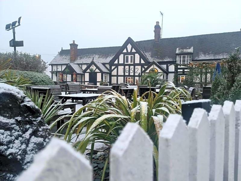The White Lion image
