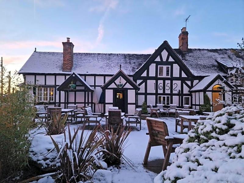 The White Lion image