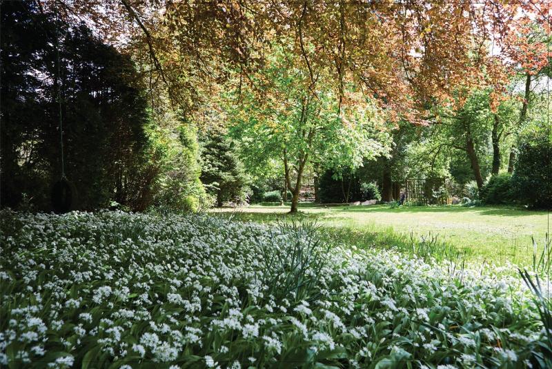 Afon Rhaiadr Country House image