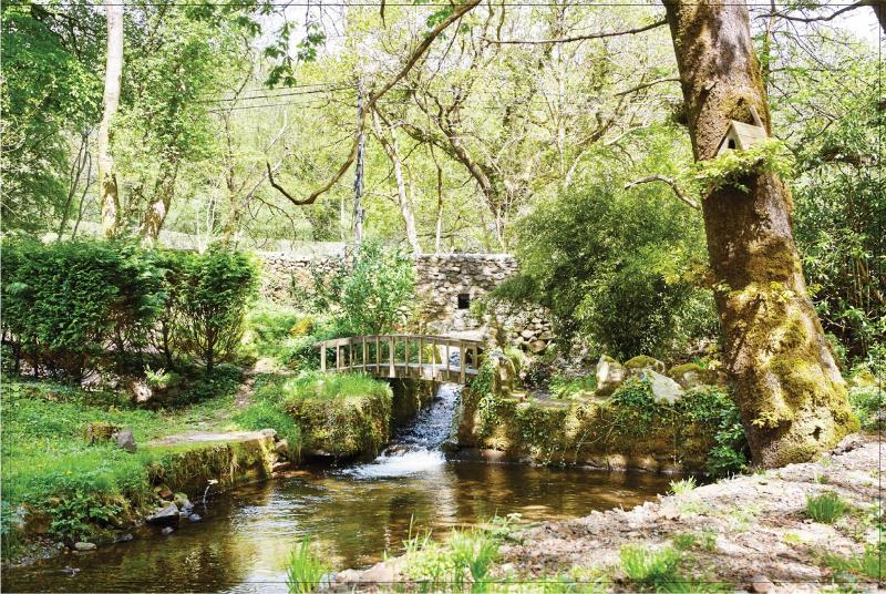 Afon Rhaiadr Country House image