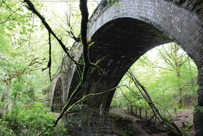 Afon Rhaiadr Country House image