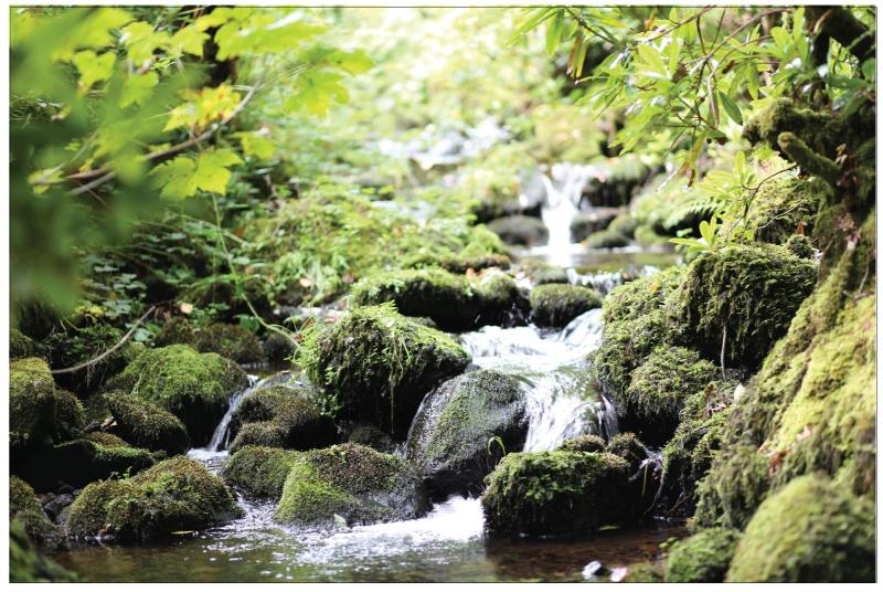 Afon Rhaiadr Country House image