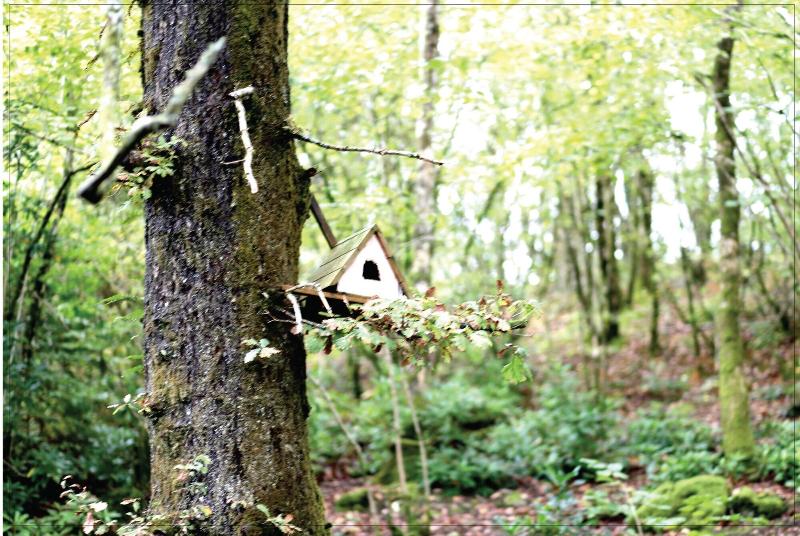 Afon Rhaiadr Country House image