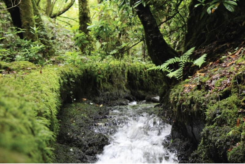 Afon Rhaiadr Country House image