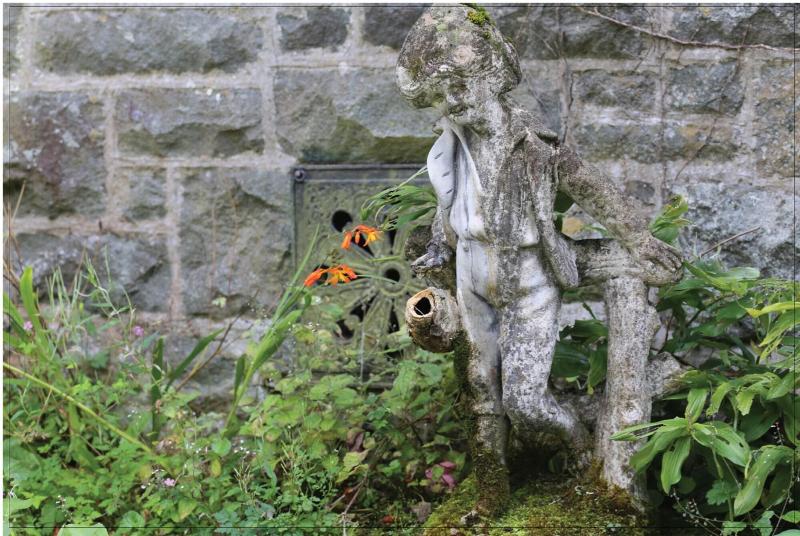 Afon Rhaiadr Country House image
