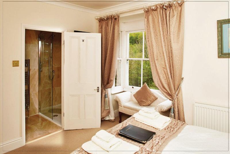 Afon Rhaiadr Country House image