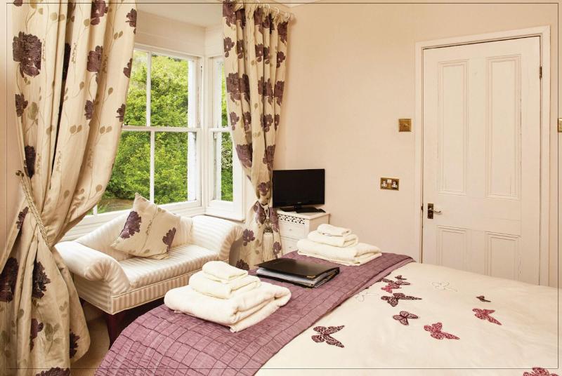 Afon Rhaiadr Country House image