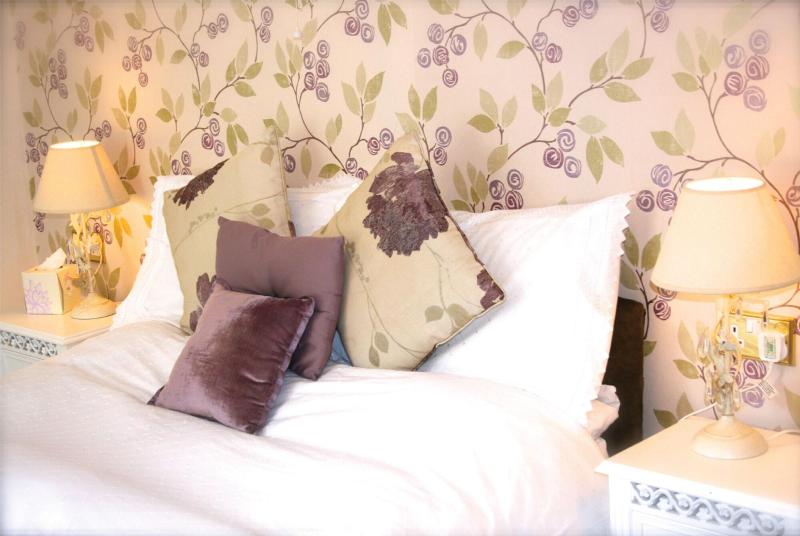 Afon Rhaiadr Country House image