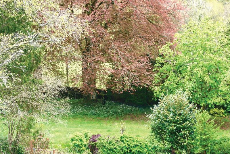 Afon Rhaiadr Country House image