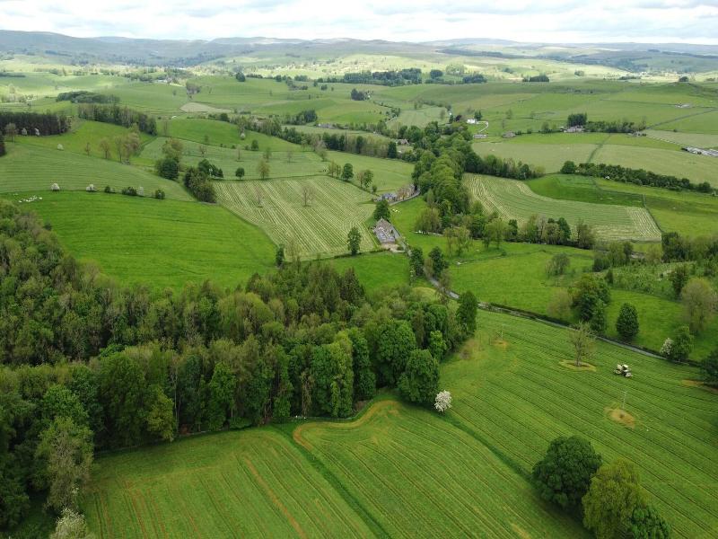 Green Grove Country House image