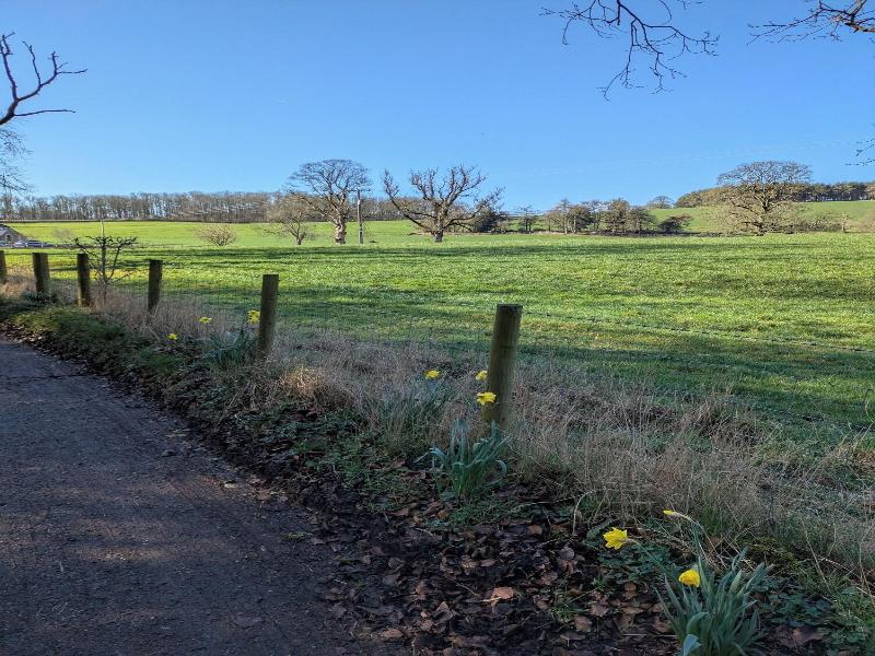 Green Grove Country House image