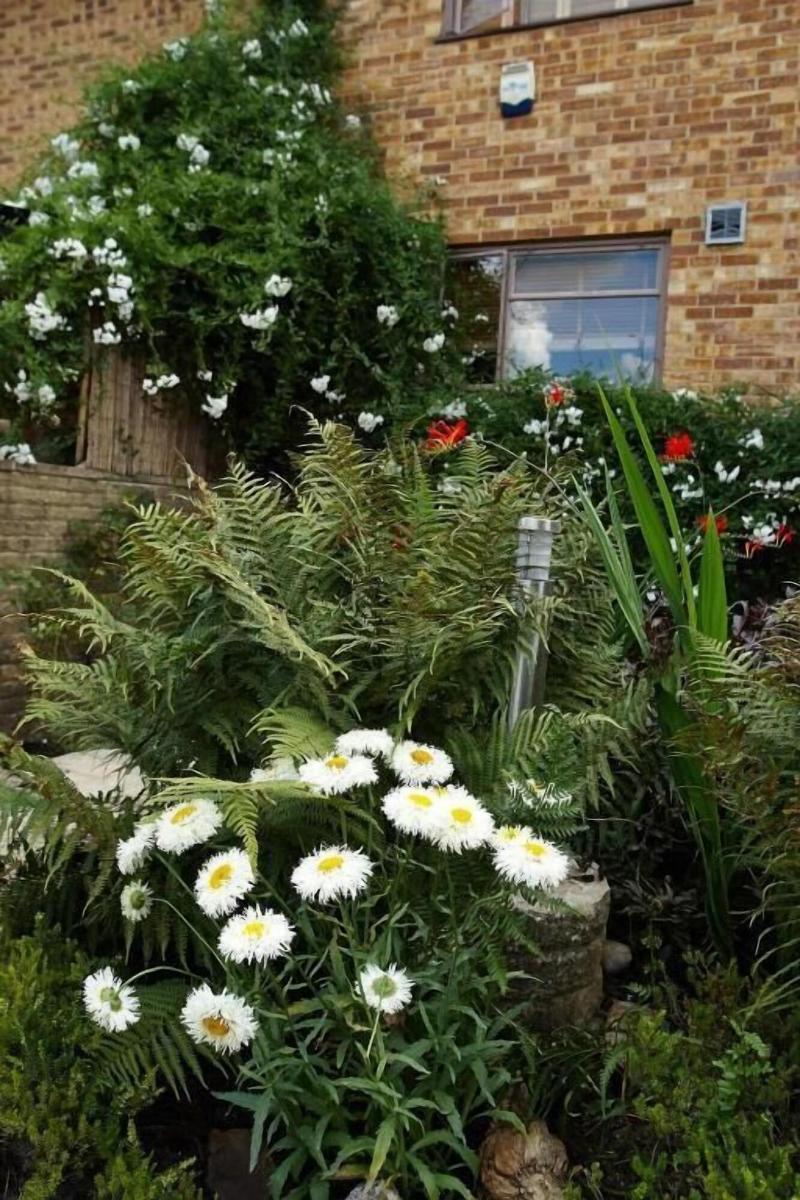 Richmond Lane Guest House image