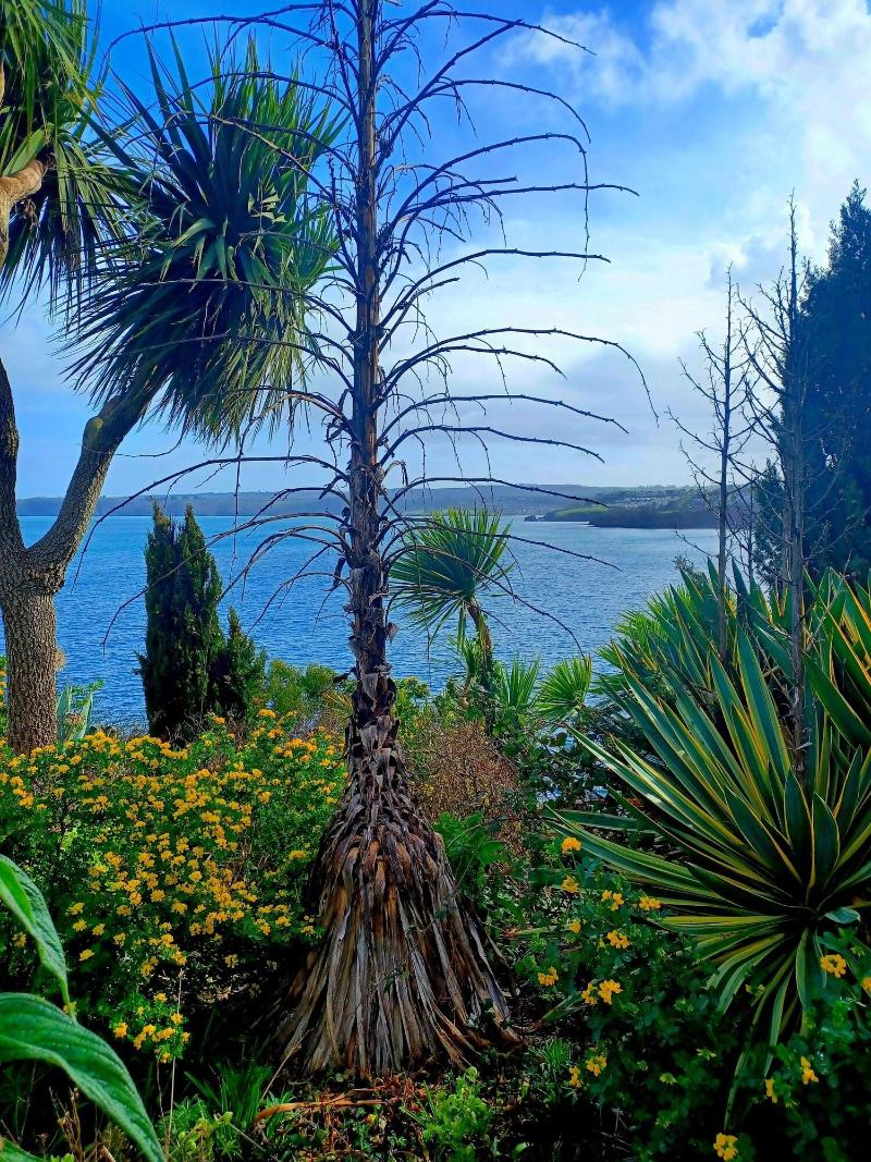 Belle Dene Guest House image