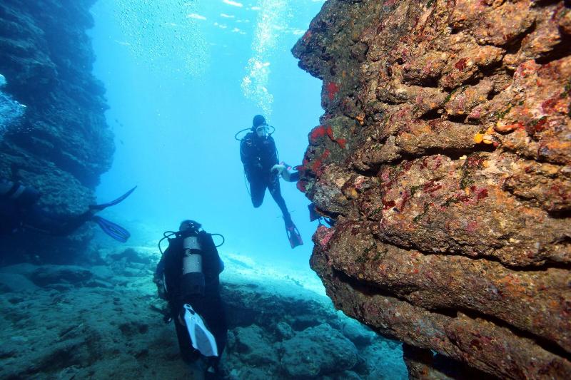 Vivian Studios - Image 2