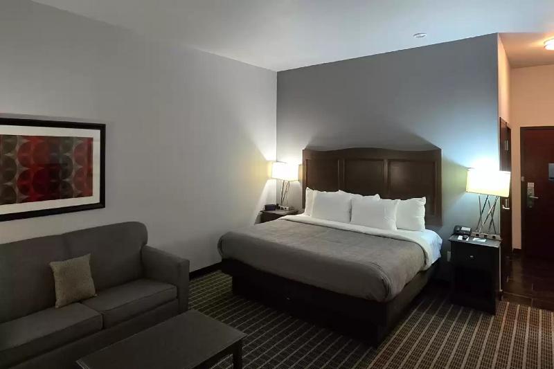 Quality Inn & Suites Pearsall image