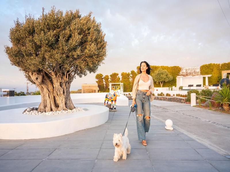 Oia Sunset Villas - Villa Swinging Sunset