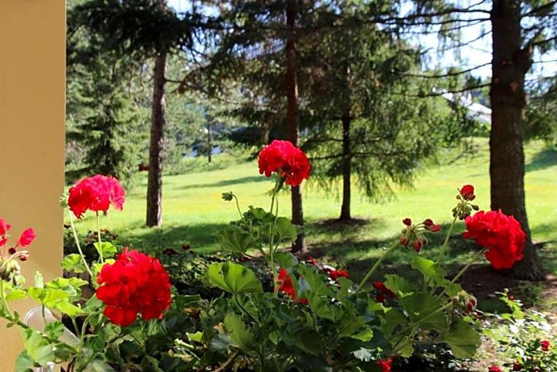 Hotel President garni image