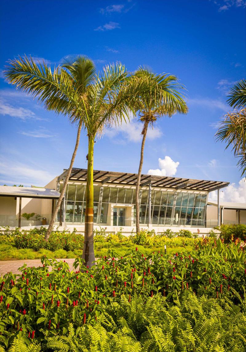 Sonesta Ocean Point Resort All Inclusive, Adults image