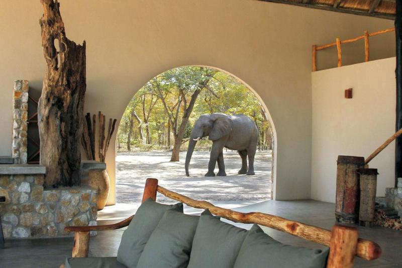 Gwango Elephant Lodge image