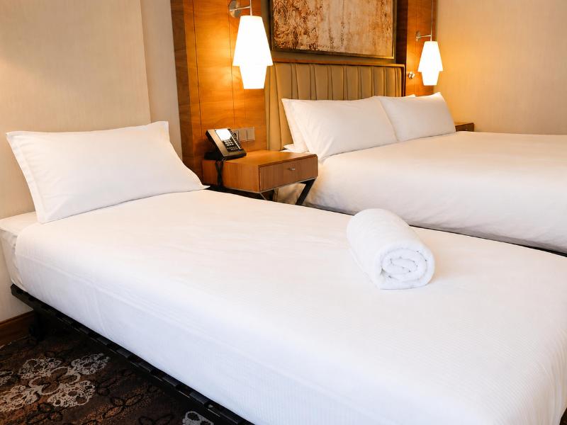 DoubleTree by Hilton Krakow Hotel & Convention Cen image