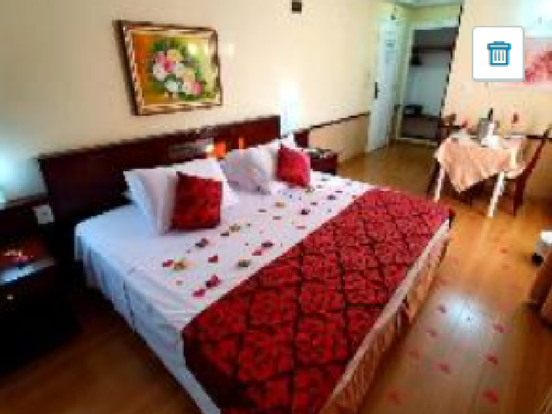 Hotel Dan Inn Campinas Cambui image
