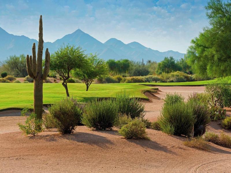 Marriott's Canyon Villas image