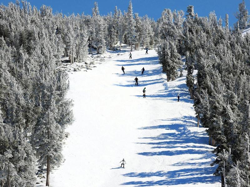 Marriott's Timber Lodge image