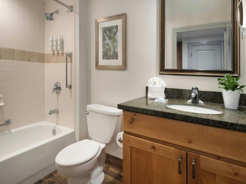 Marriott's Timber Lodge image