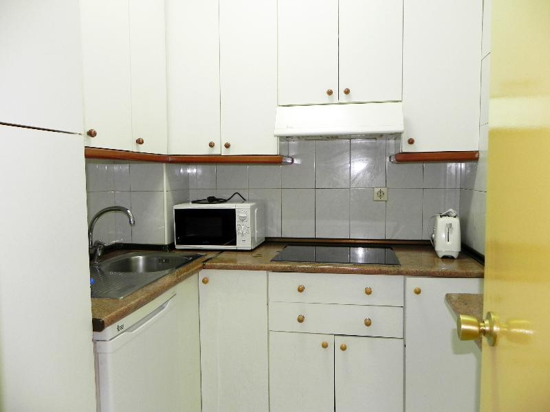 Apartamentos Candanchú 3000 image