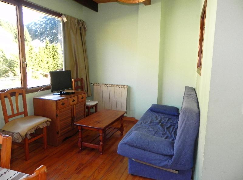 Apartamentos Candanchú 3000 image
