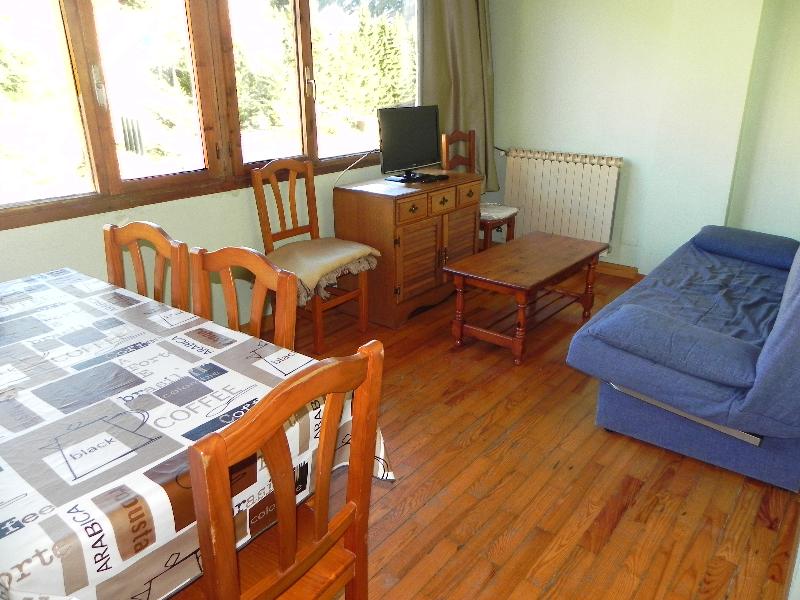 Apartamentos Candanchú 3000 image