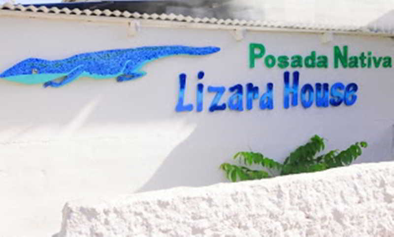Posada Nativa Lizard House