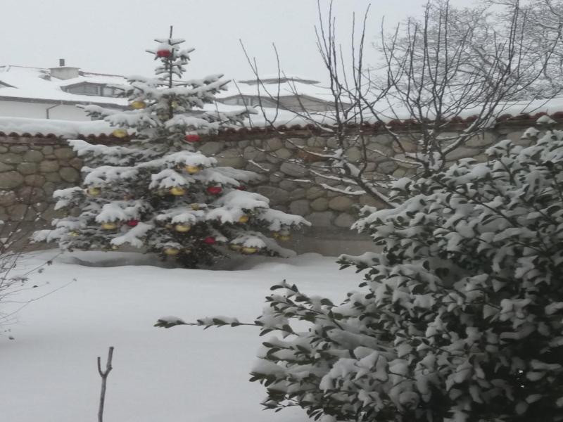 Pirina Club Hotel image