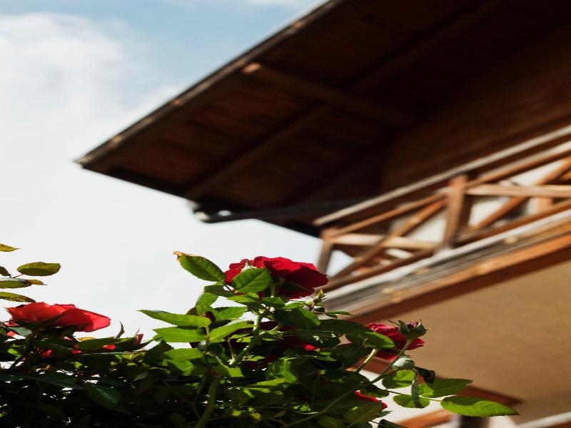 Pirina Club Hotel image