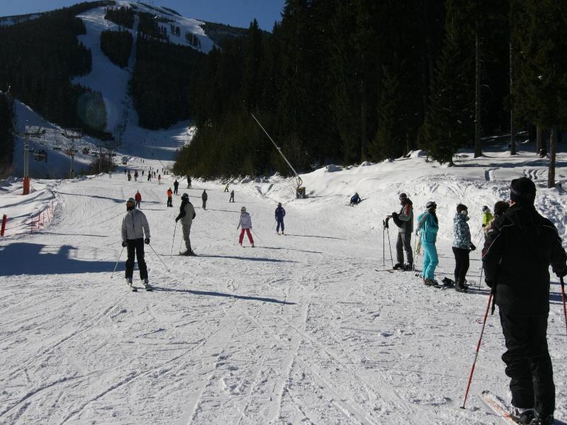 Pirina Club Hotel image