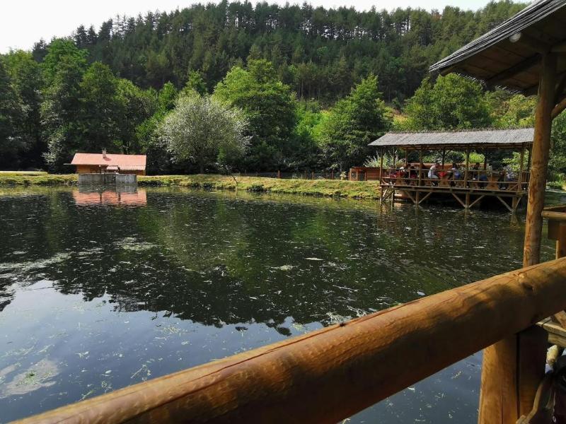 Pirina Club Hotel image