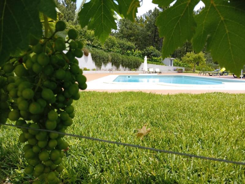 Quinta Manhas Douro image