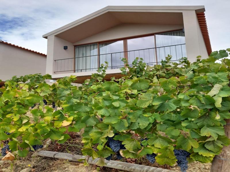 Quinta Manhas Douro image