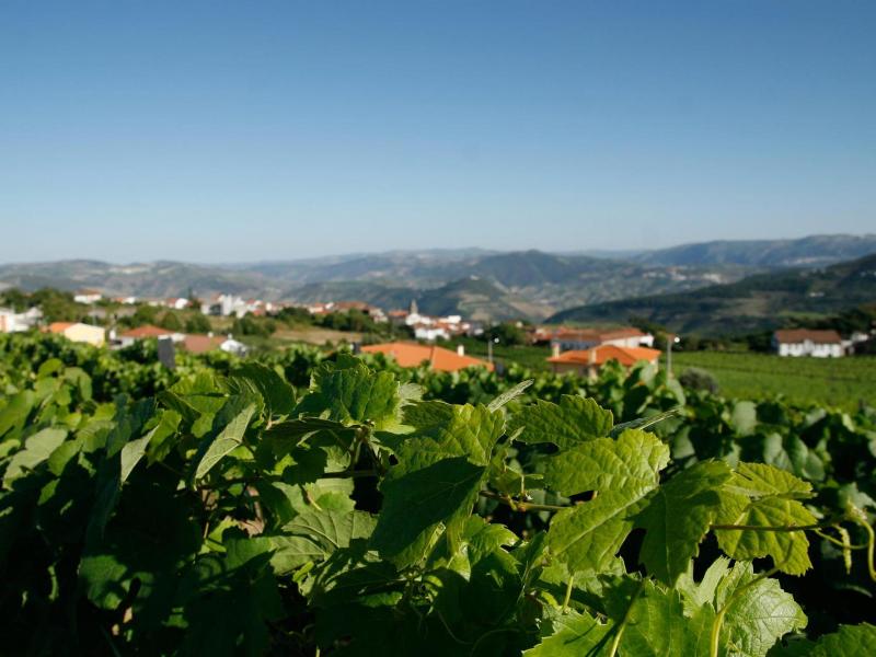 Quinta Manhas Douro image