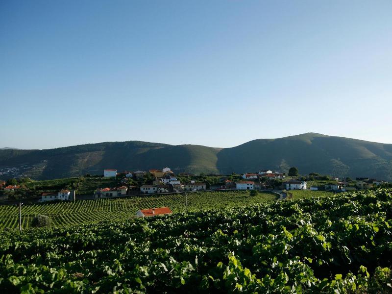 Quinta Manhas Douro image