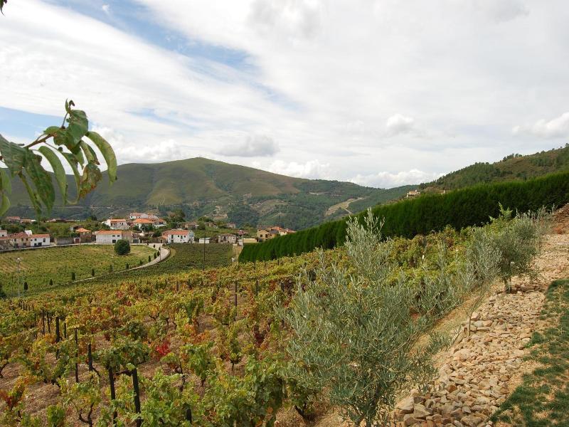 Quinta Manhas Douro image
