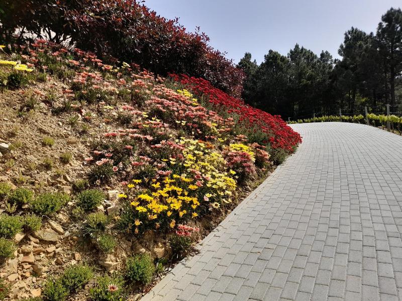 Quinta Manhas Douro image