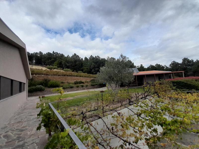 Quinta Manhas Douro image