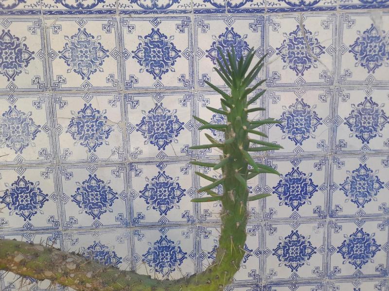 Quinta Manhas Douro image