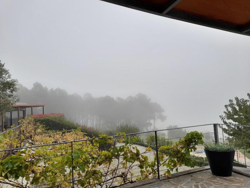 Quinta Manhas Douro image